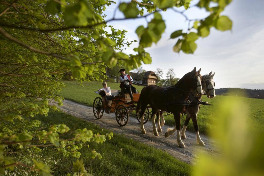 Ferienhaus Troadkasten - Familie Friedrich Hartberg Esterno foto